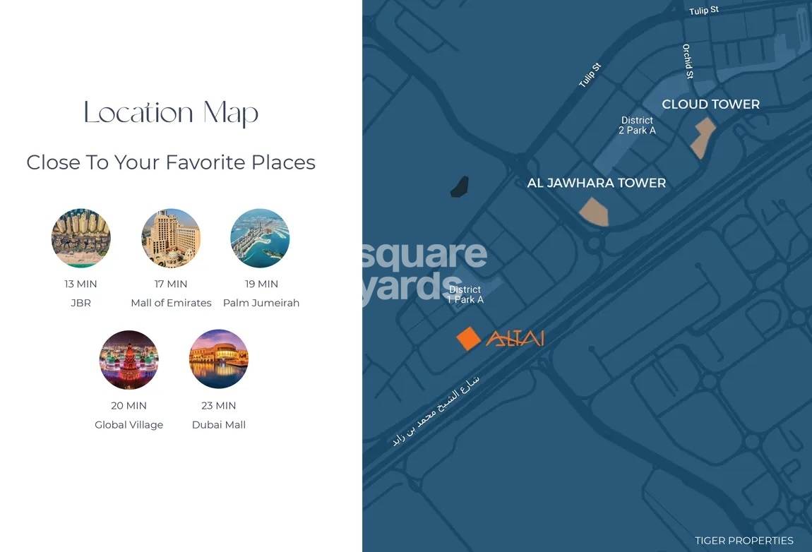 Tiger Altai Tower Location Image