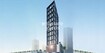 Tiger Altai Tower Cover Image