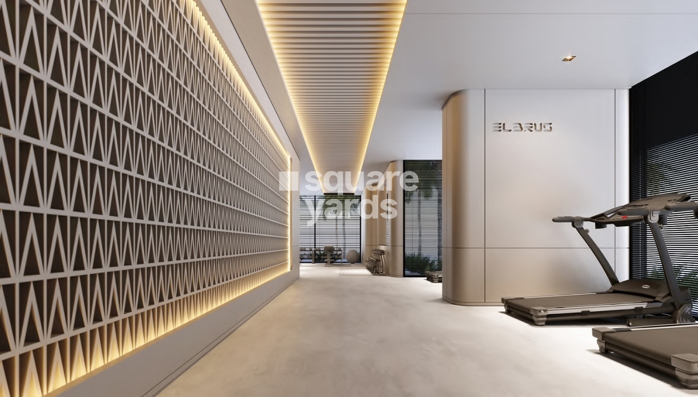 Tiger Elbrus Tower Gymnasium Image