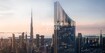 Tiger Sky Tower Cover Image