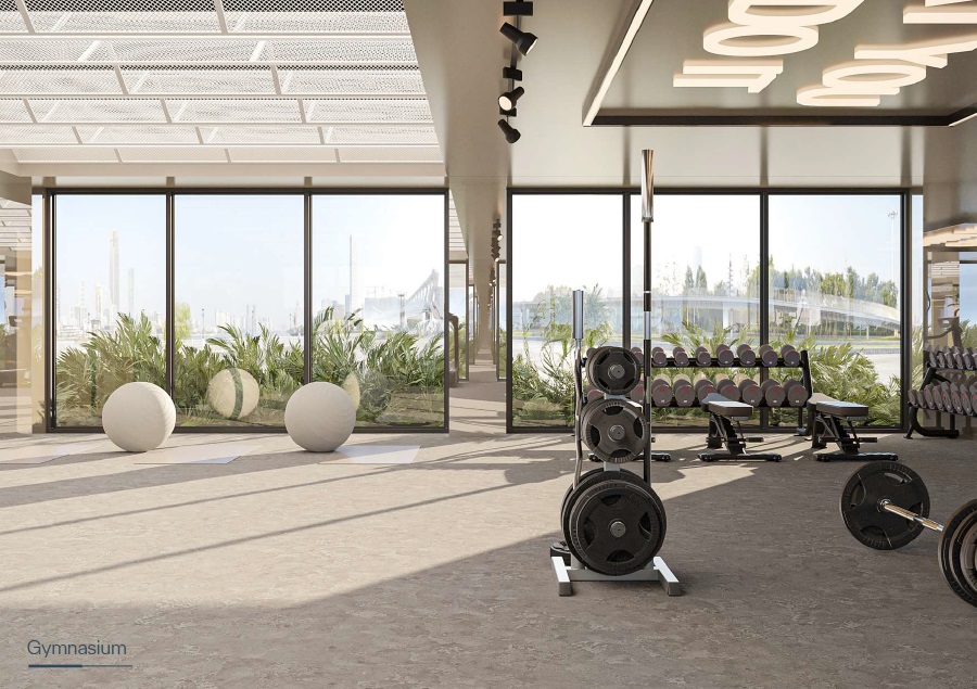 YAS Altia One Gymnasium Image