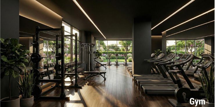 Zenith Manarina Gymnasium Image