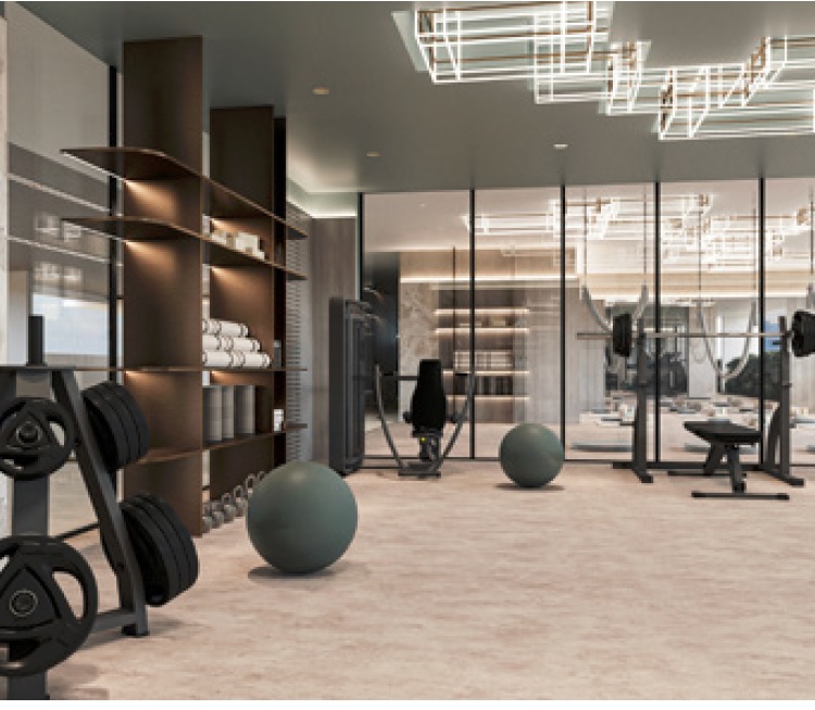 Zimaya Celeste Heights Gymnasium Image