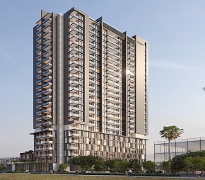 Continental Boutique 23, Al Jaddaf, Dubai