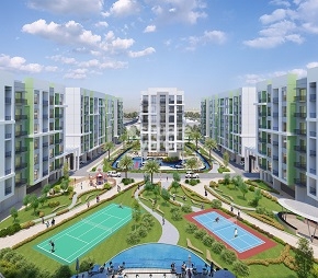 Danube Olivz, International City, Dubai