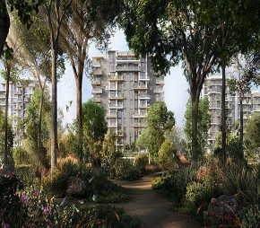 Majid Al Lacina, Global Village, Dubai