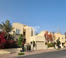 Meadows 1 Featured Image