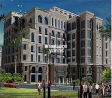 Mizin Aryene Greens Featured Image