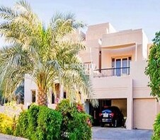 Silk Leaf Featured Image