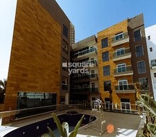 Tiger Lorena Tower Featured Image