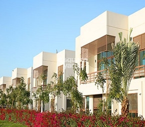 Umm Al Daman, Umm Al Daman Dubai