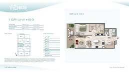 1 Bed 896 Sq. Ft. Apartment in AMIS The Tides