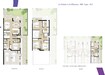Dubai La Violeta 4 Beds Layout
