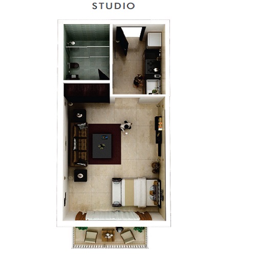 466 Sq. Ft. Studio in Vincitore Palacio