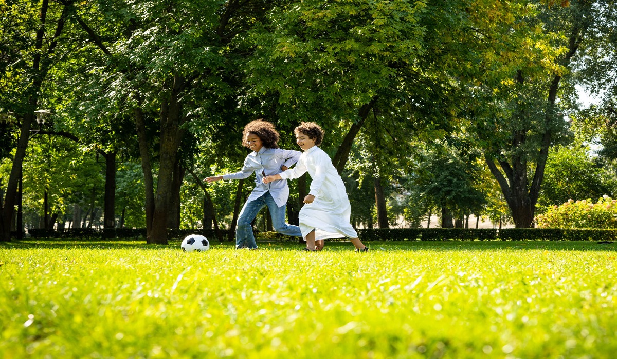 Alef Arim Amenities Features