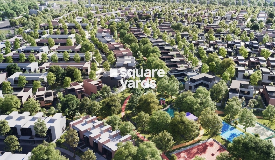 Arada Kaya Tower View