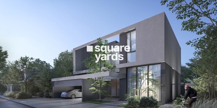 Arada Masaar Robinia