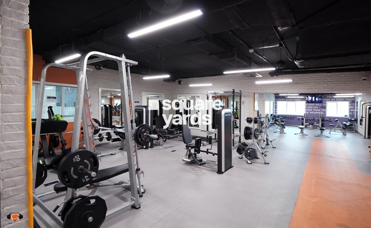 Tiger Building Amenities Features