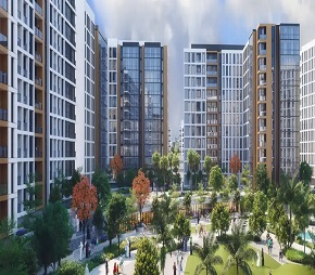 Alef Olfah in Muwaileh