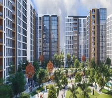 Alef Olfah Featured Image