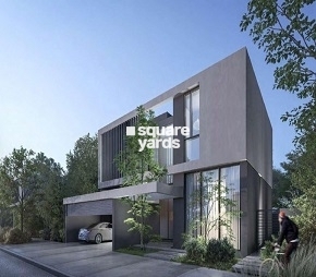 Arada Masaar Robinia Flagship