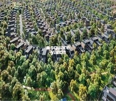 Arada Woodland Featured Image