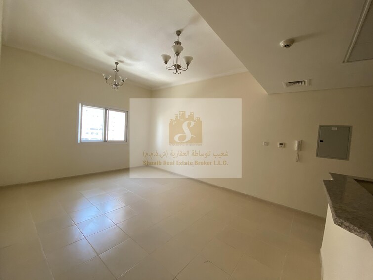 Queue Point Apartment for Sale, Liwan, Dubai
