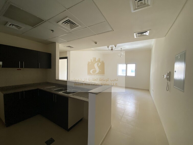 Queue Point Apartment for Sale, Liwan, Dubai