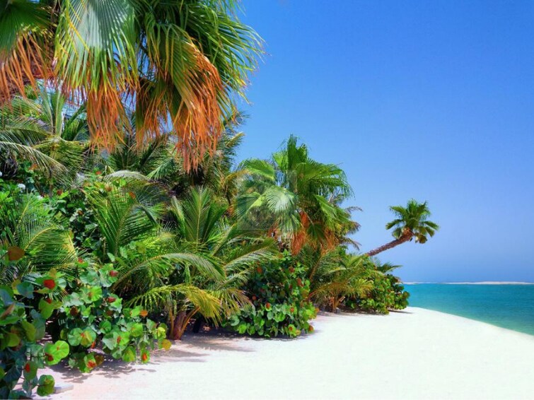  Land for Sale, The World Islands, Dubai