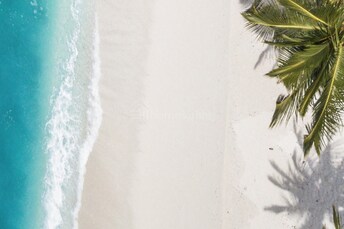 1 BR Apartment For Sale in Dubai Harbour