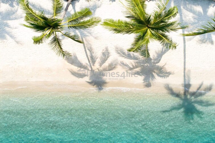  Apartment for Sale, Dubai Harbour, Dubai