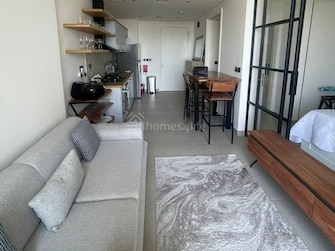 1 BR Apartment For Sale in Collective Cover Image