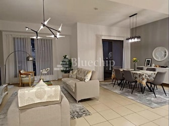 2 BR Apartment For Rent in Shams 4 Cover Image