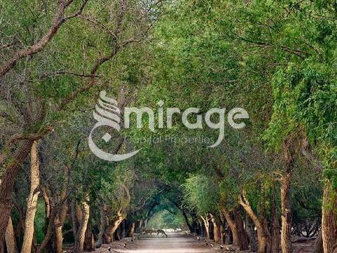  Land for Sale, Ghantoot, Abu Dhabi