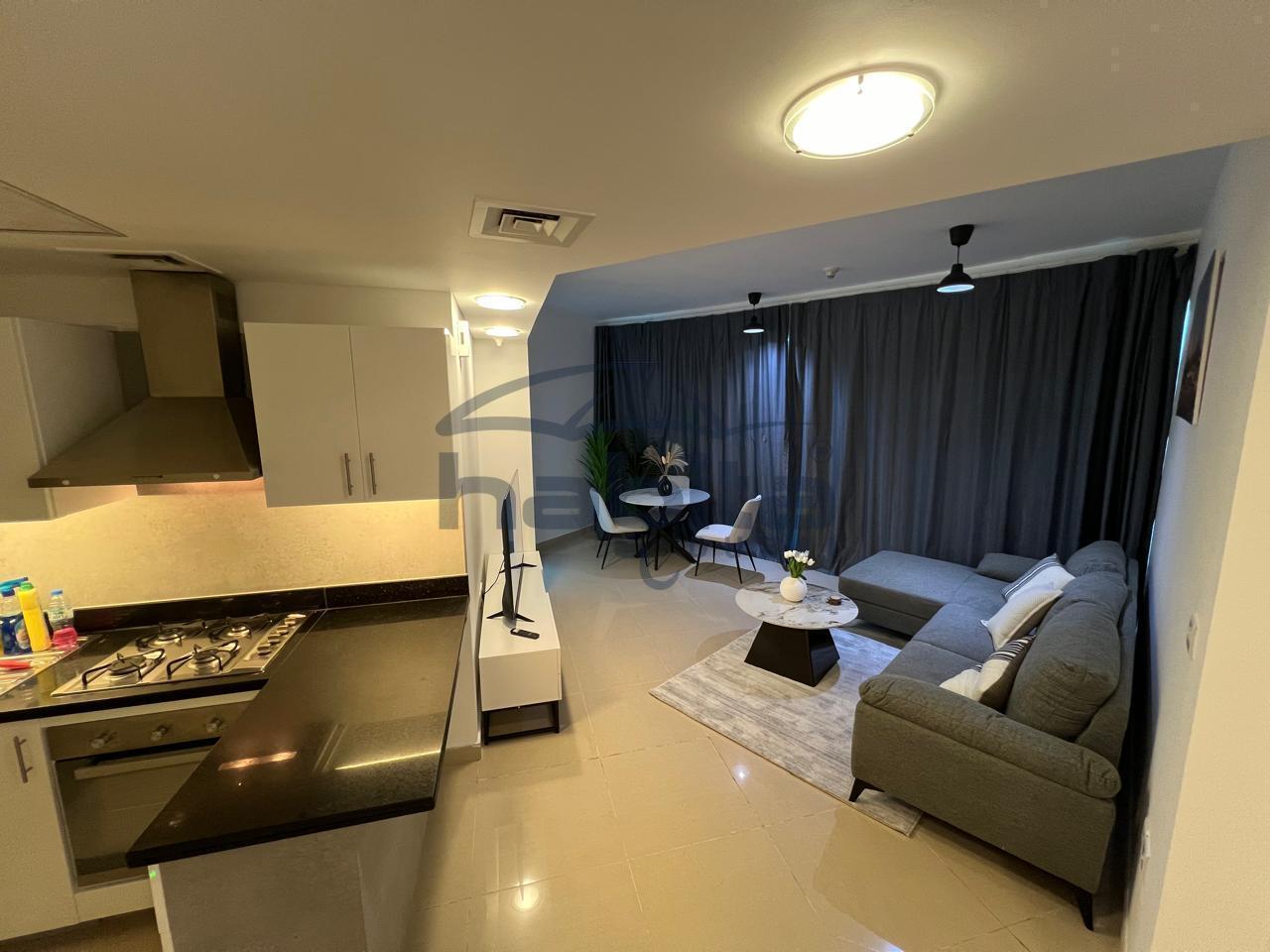 Park Towers Apartment for Rent, DIFC, Dubai