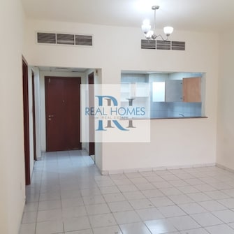 1 BR Apartment For Sale in Y-11 Cover Image