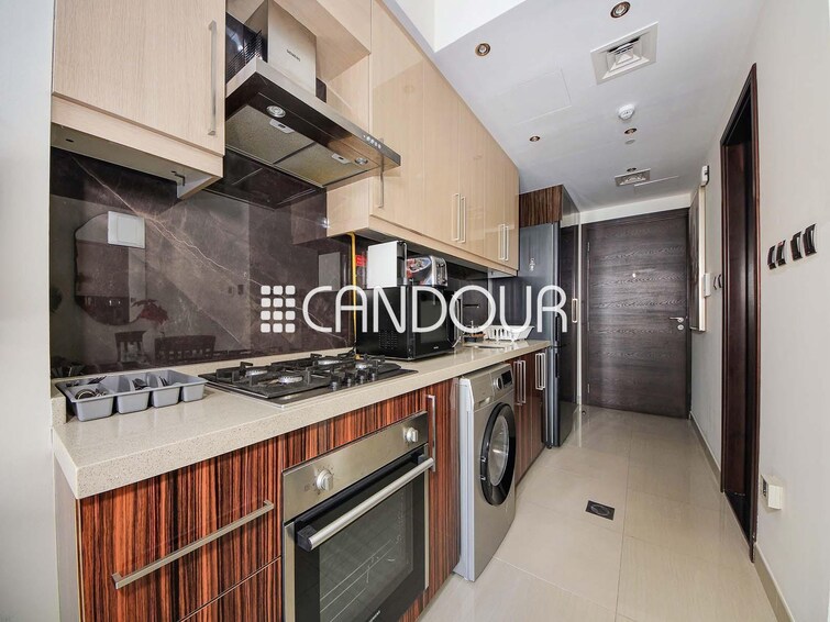 Elite Downtown Residence Apartment for Rent, Downtown Dubai, Dubai