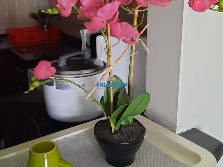  Apartment for Rent, Discovery Gardens, Dubai