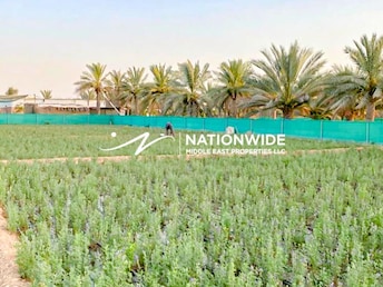  Commercial Plot for Sale, Al Raha Gardens, Abu Dhabi