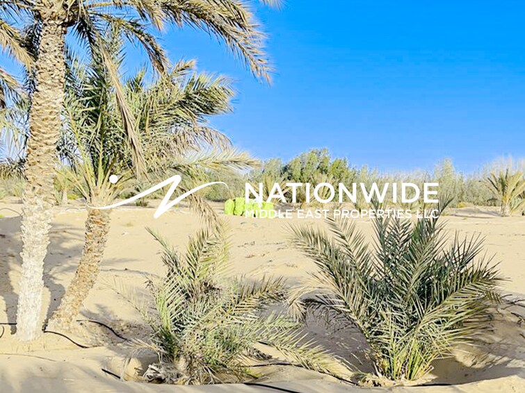  Commercial Plot for Sale, Al Khatm, Abu Dhabi