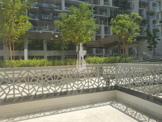 2 BR Apartment For Sale in Oasis Residences Cover Image